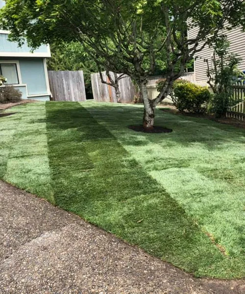Woodinville - Landscaping Installation